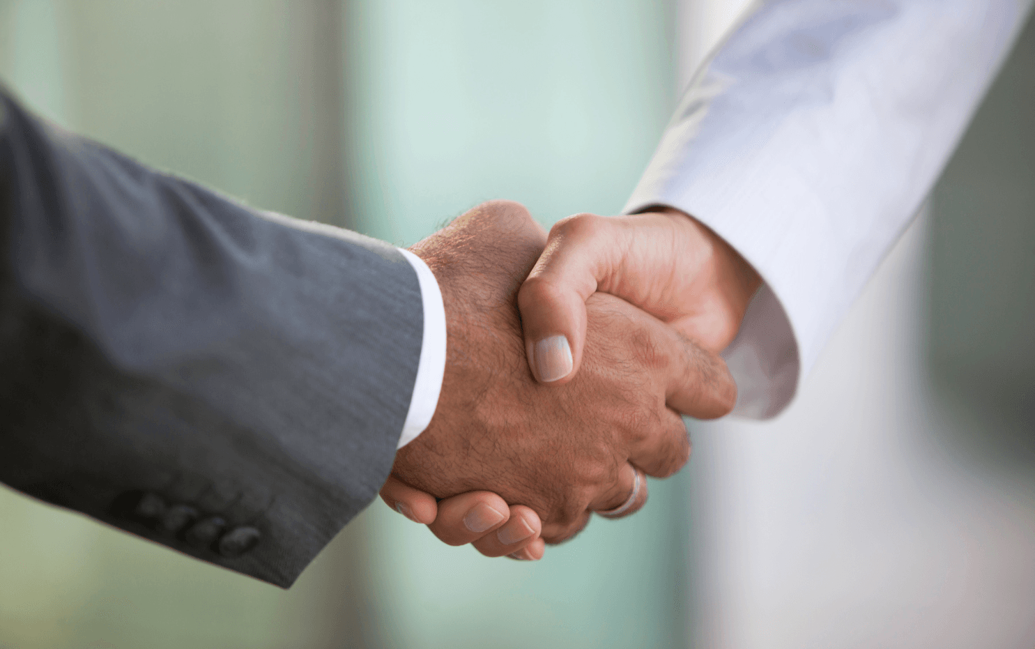Two people shaking hands