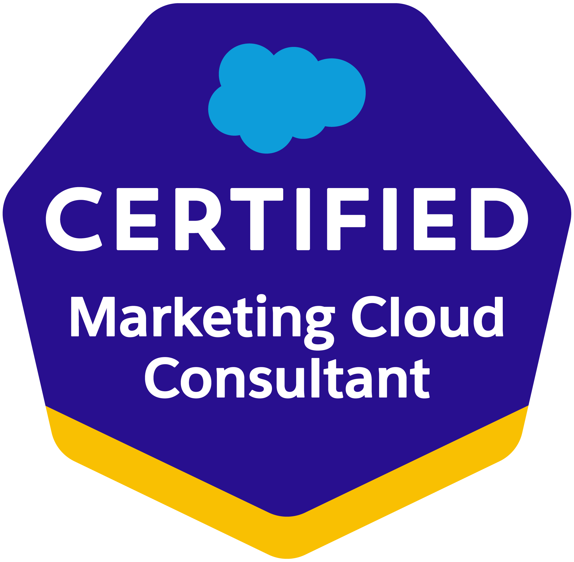 Salesforce Certified Marketing Cloud Consultant